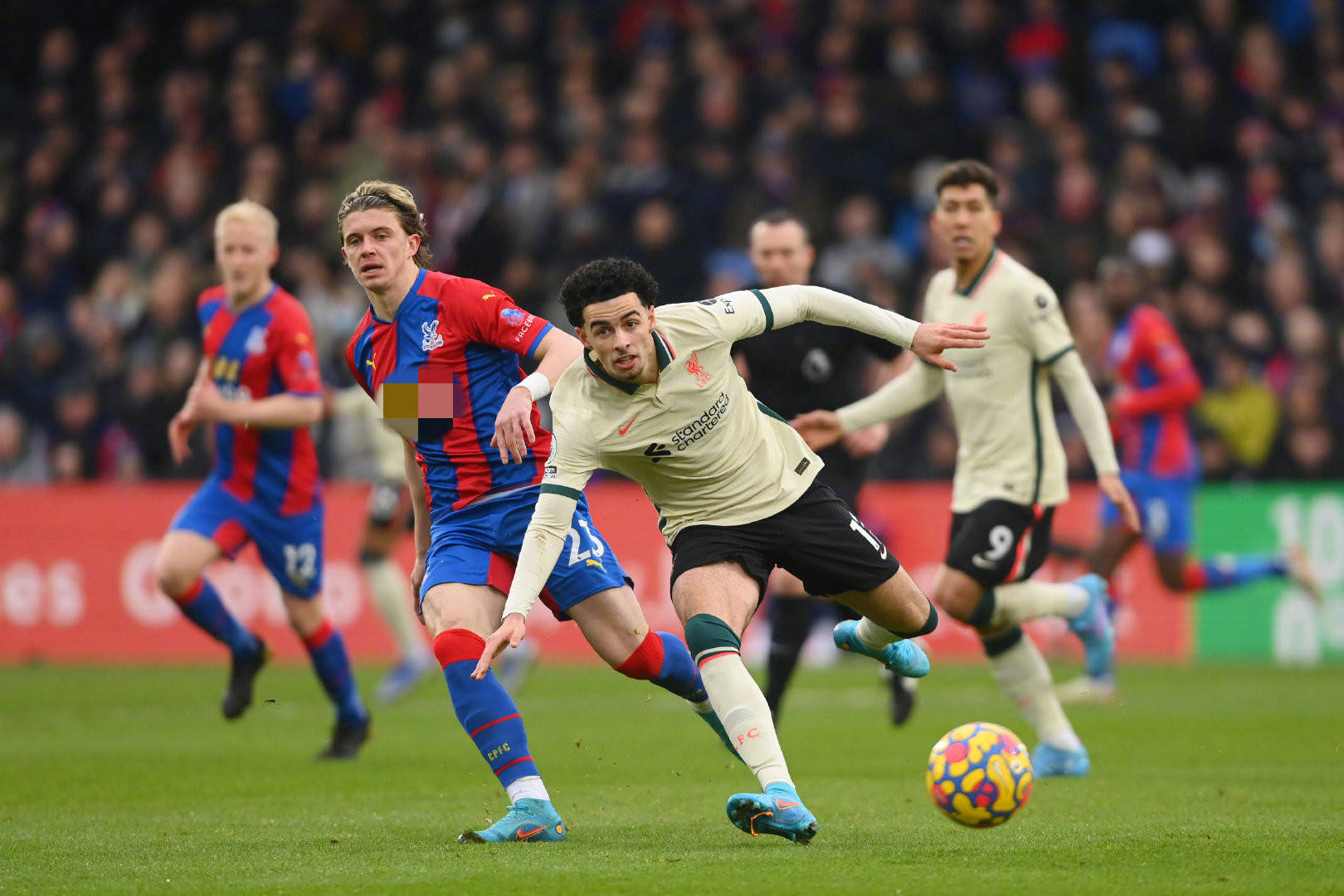 直备受关注 直备受关注